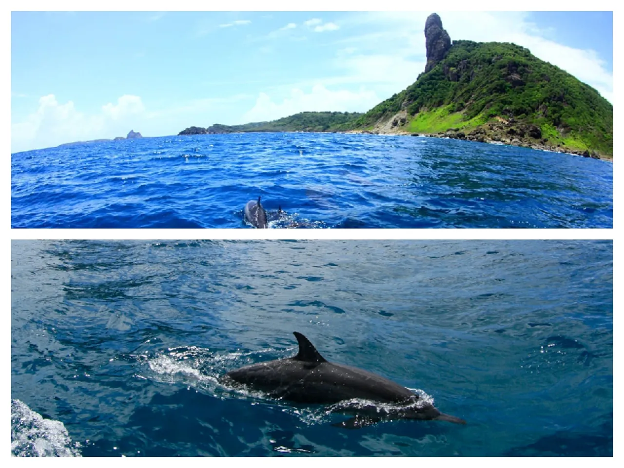 Mirante dos Golfinhos